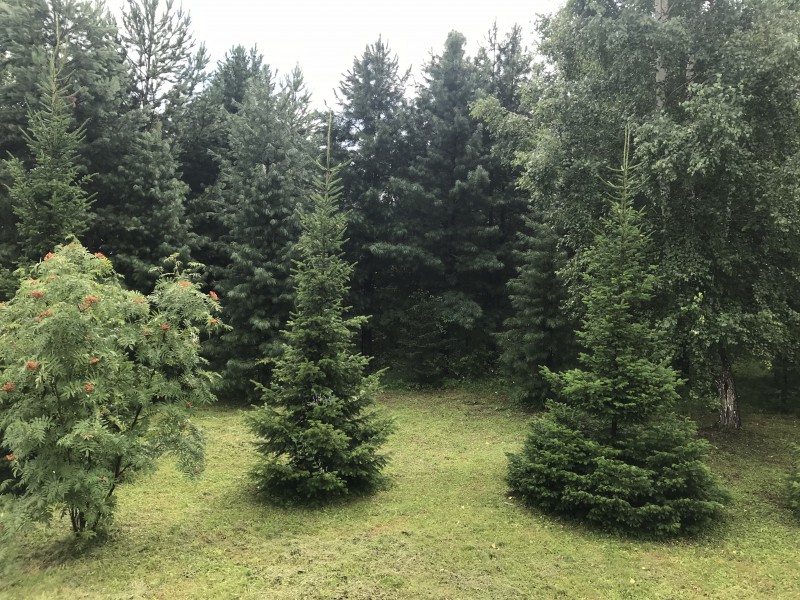 CA31515F-E3EC-4FA9-BD3C-B3B509D7D978.jpeg