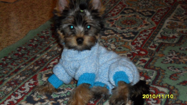SAM_0239.JPG