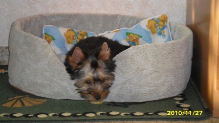 SAM_0254.JPG