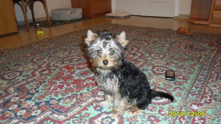 SAM_0265.JPG