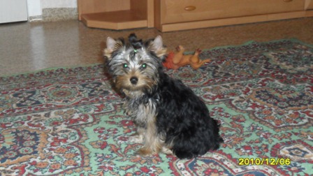 SAM_0266.JPG