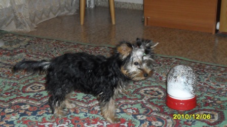 SAM_0267.JPG