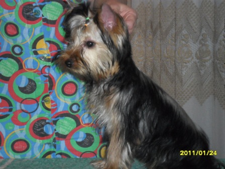 SAM_0364.JPG