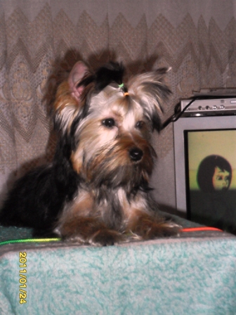 SAM_0374.JPG