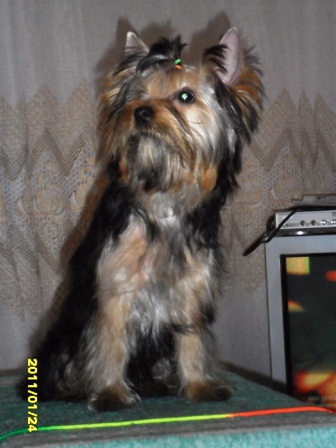 SAM_0377.JPG