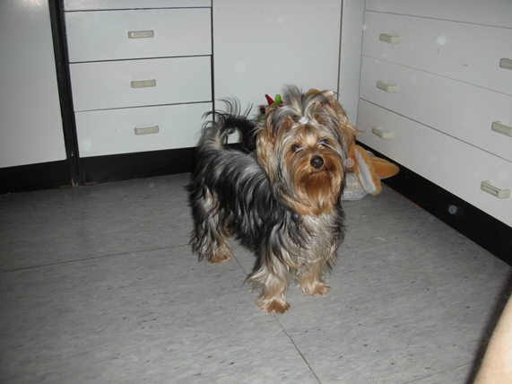 DSCN3855.JPG