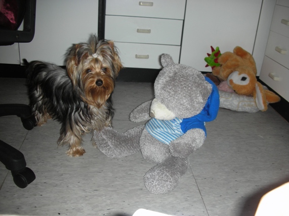 DSCN3853.JPG