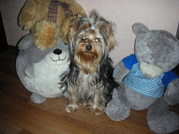 DSCN3837.JPG