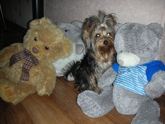 DSCN3830.JPG