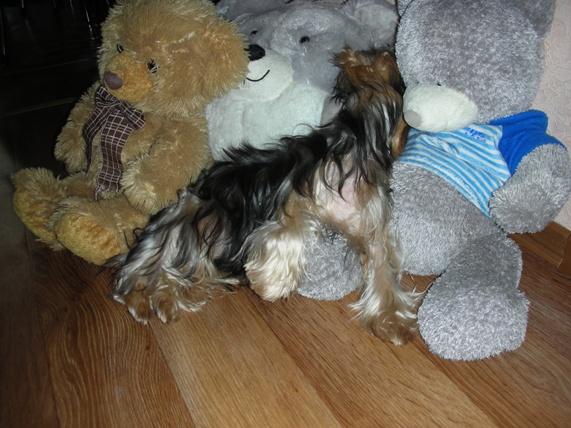 DSCN3829.JPG