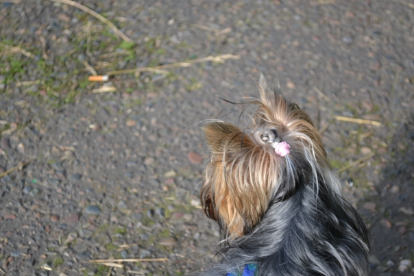 DSC_0513.jpg