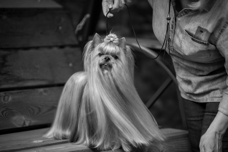 DSC_9734 (1).JPG