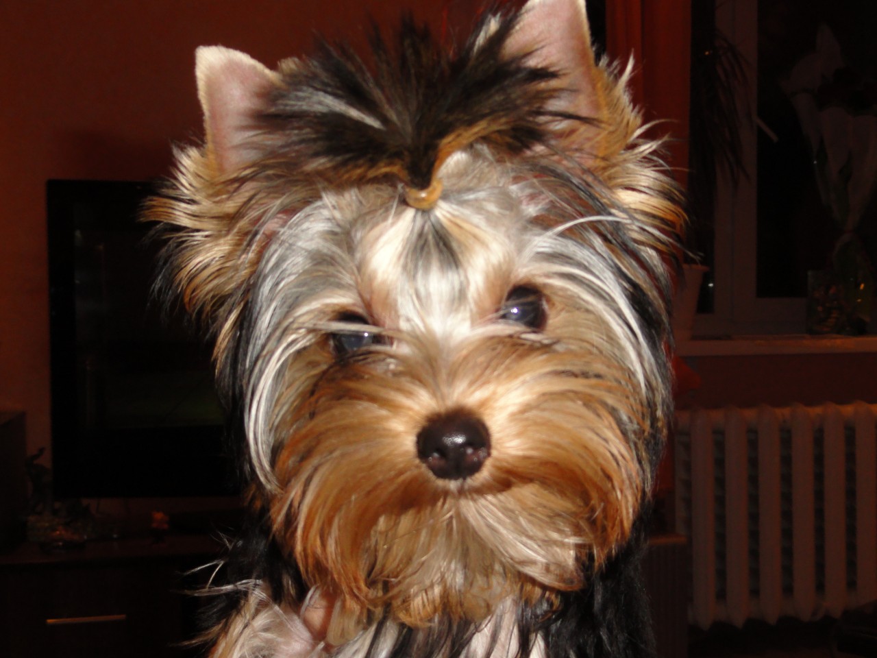 DSC02034.jpg