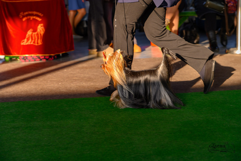 AFT_5098_resized (1).jpg