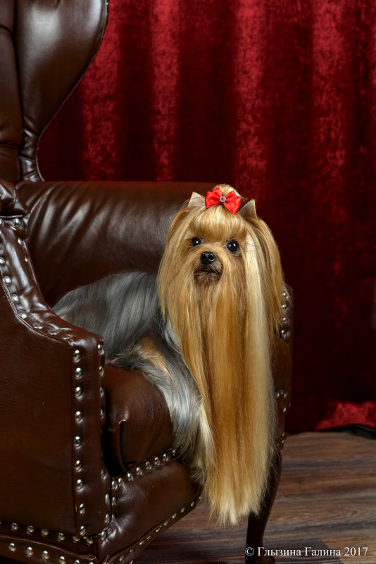 DSC_0394-web (1).jpg