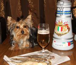 IMG_5156_thumb.jpg