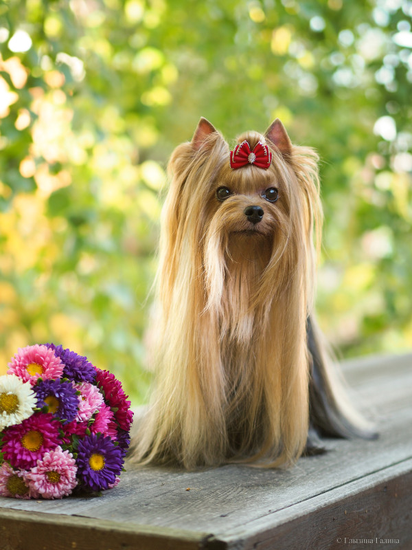 P1010639-web (1).jpg