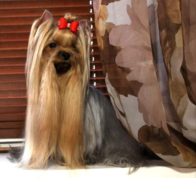 1769848331309 (1).jpg