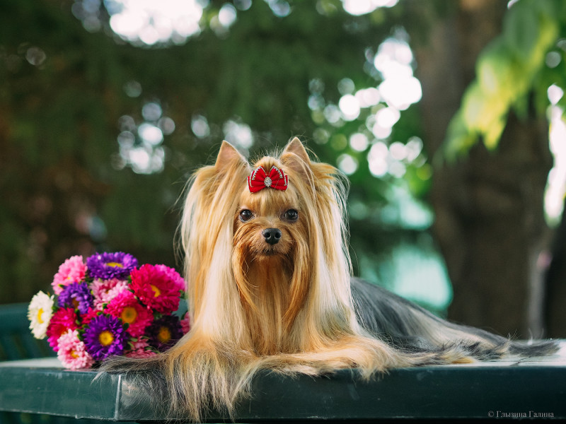 P1011020-web (1).jpg