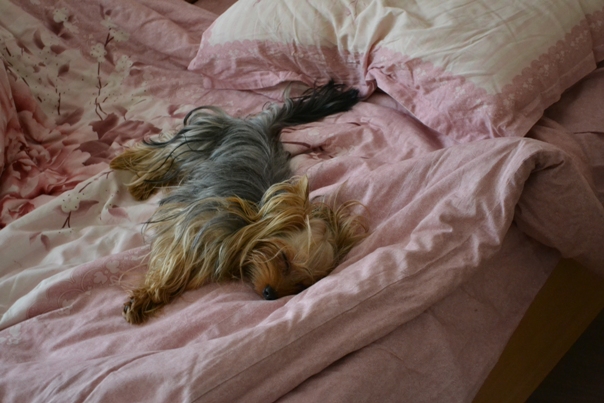 DSC_0134.JPG