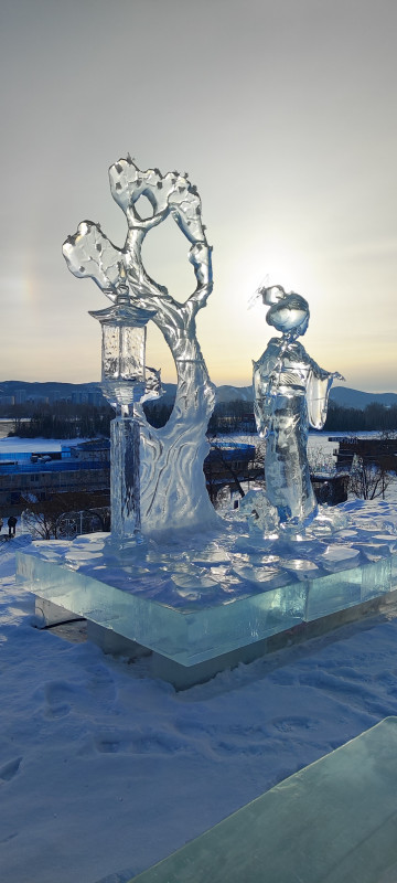 1770885191584 (1).jpg