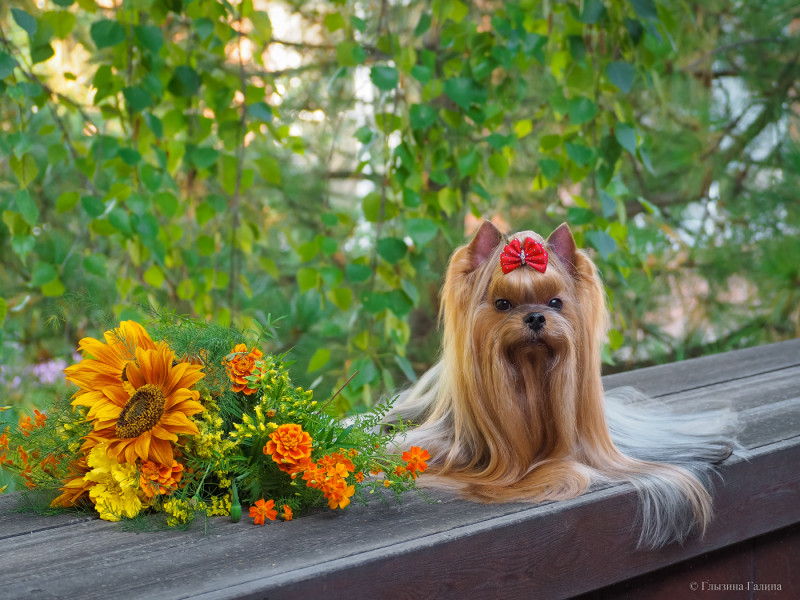 P1012403-web (1).jpg