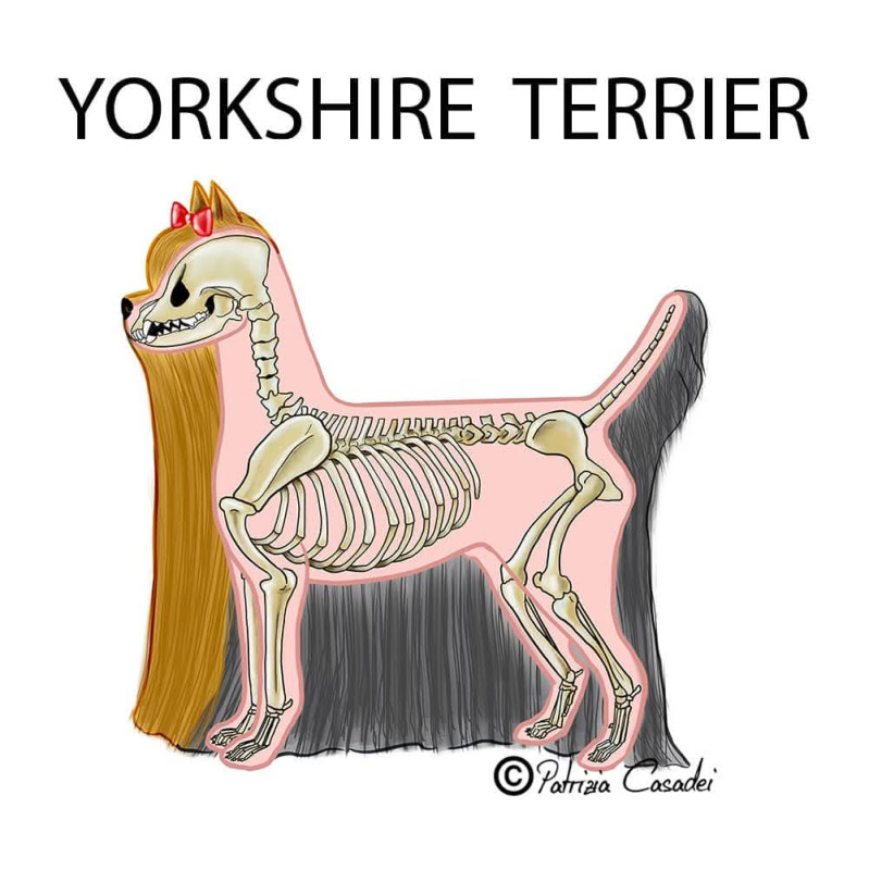 1771480174673 (1).jpg