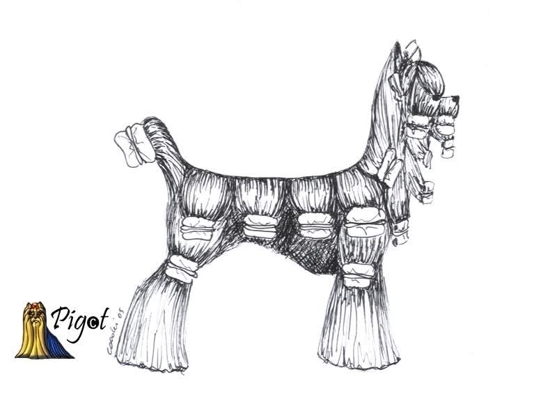 1771480188629 (1).jpg