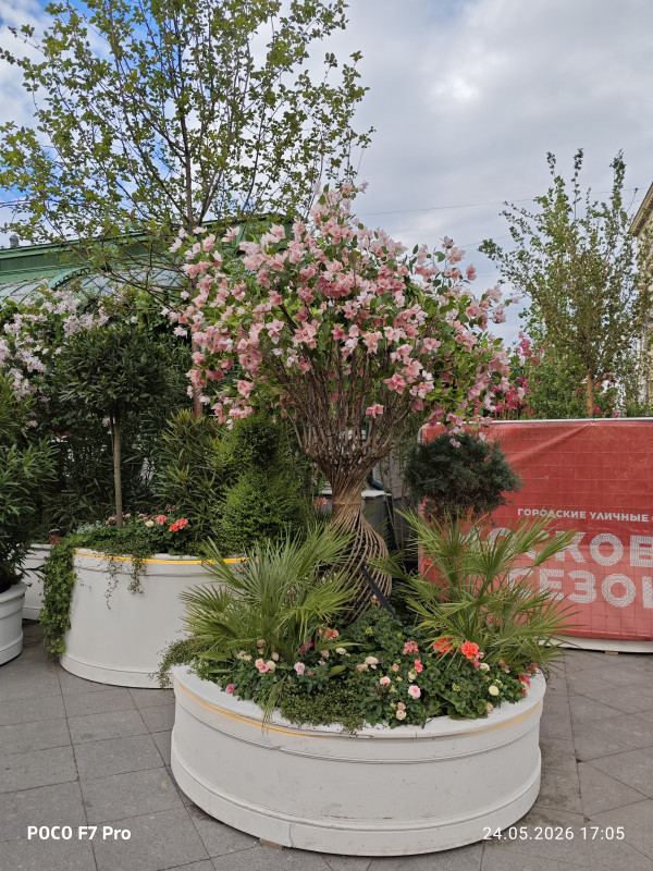 MVIMG_20260524_170554.jpg