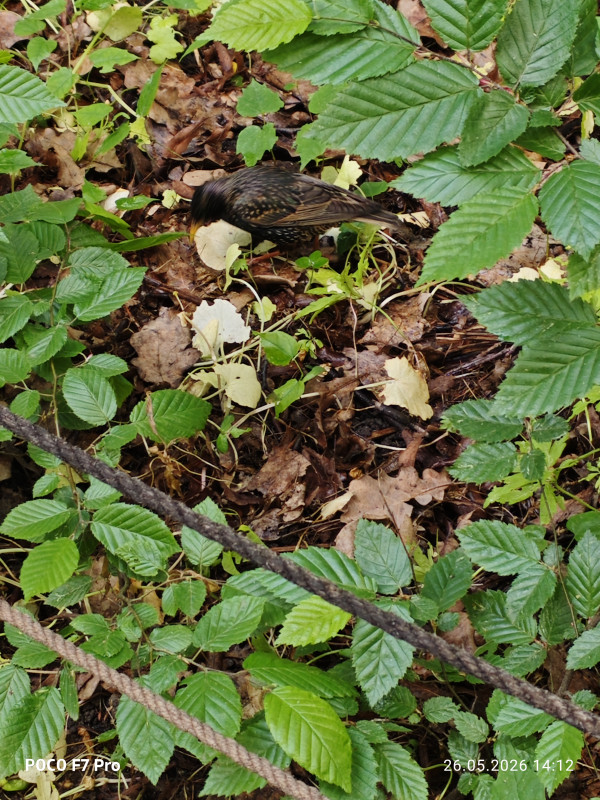 MVIMG_20260526_141224.jpg
