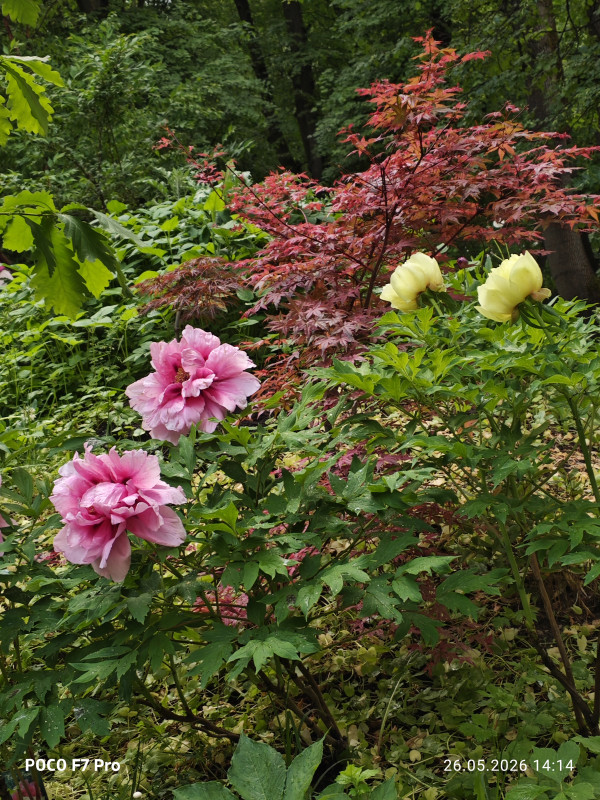 MVIMG_20260526_141446.jpg