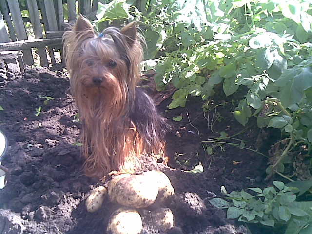 02092010773.jpg