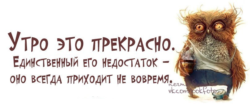 dZisMn6Z8o0.jpg