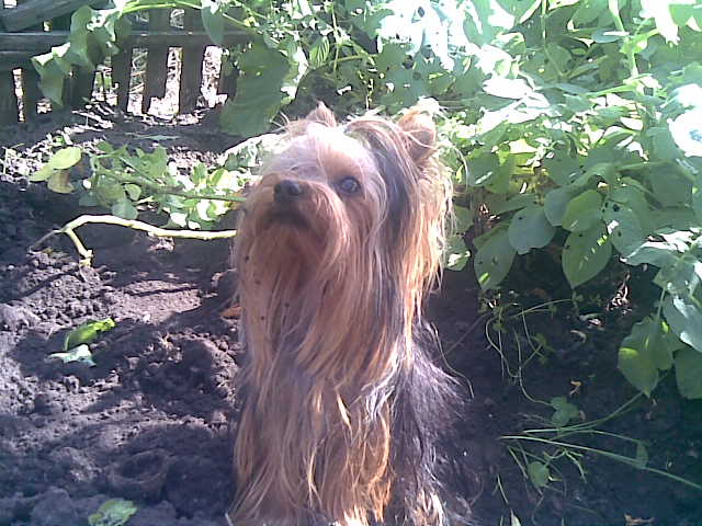 02092010774.jpg