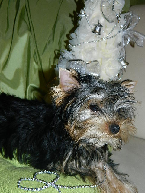 DSCN4966.JPG