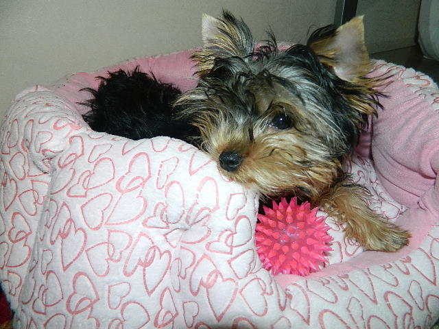 DSCN4985.JPG
