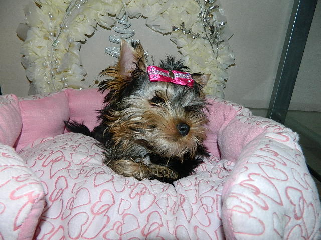 DSCN5005.JPG