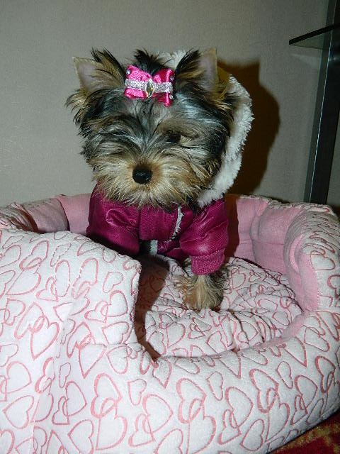 DSCN5023.JPG