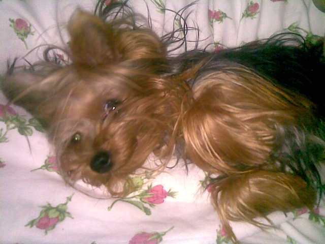 03092010779.jpg