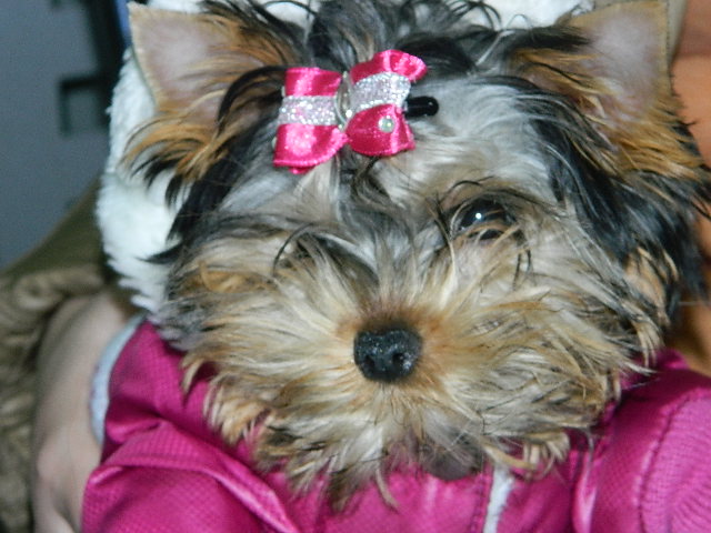 DSCN5027.JPG