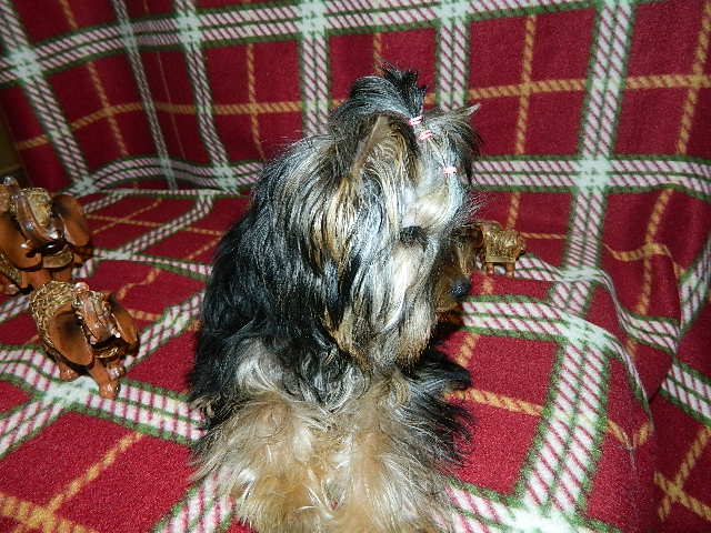 DSCN5387.JPG
