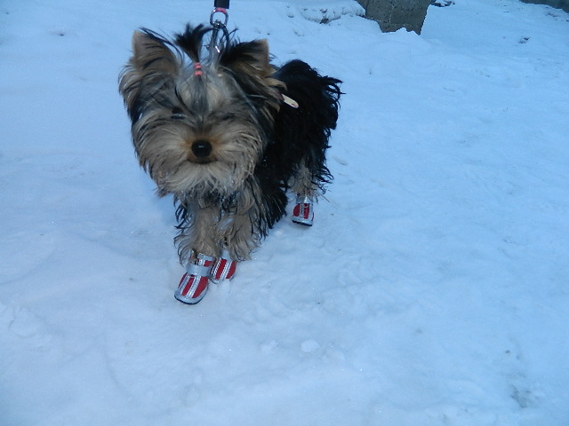 DSCN5395.JPG