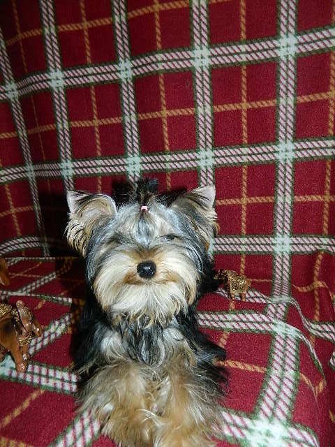 DSCN5386.JPG