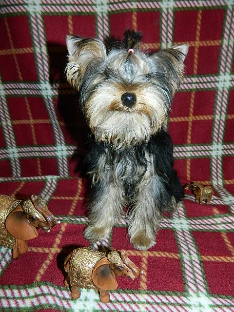 DSCN5382.JPG
