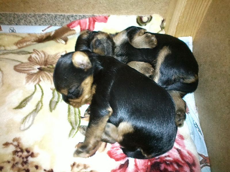 2012-09-25-031 4.jpg