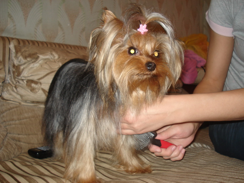 DSC08874 4.jpg
